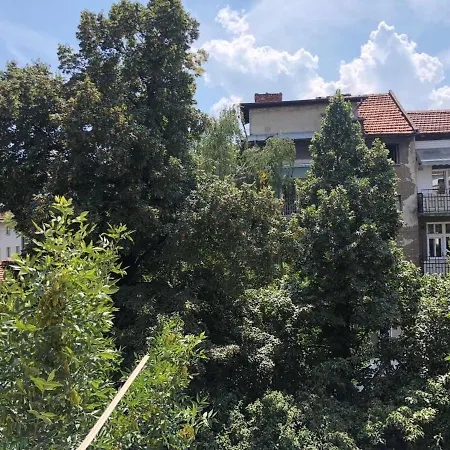 Center 7 Apartment